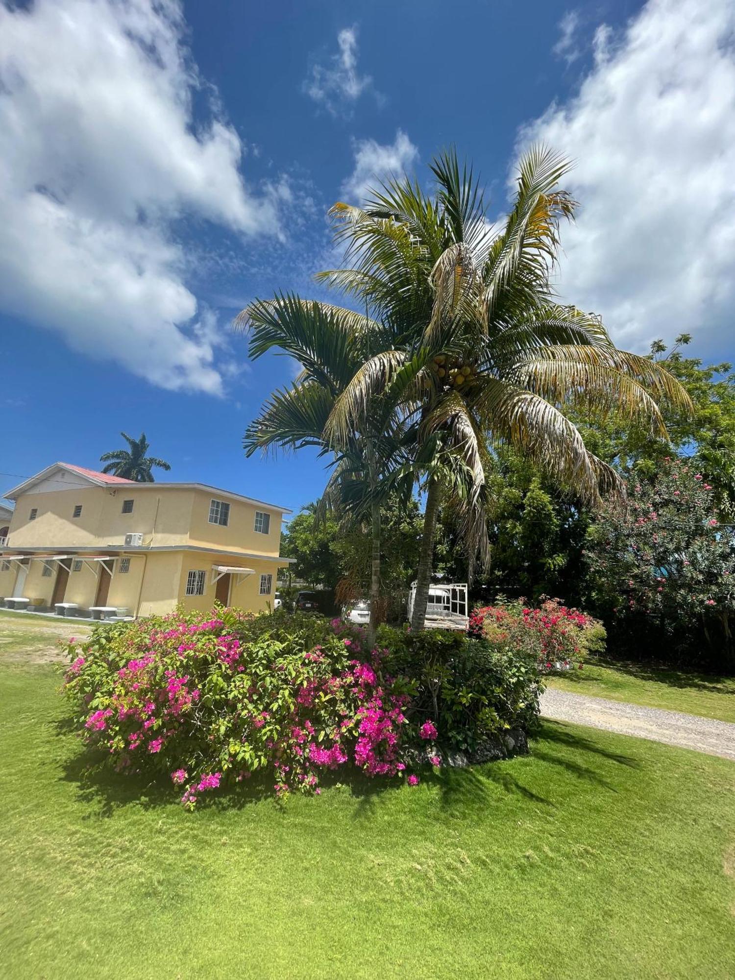 Little Shaw Park Guest House Ocho Rios Exterior photo